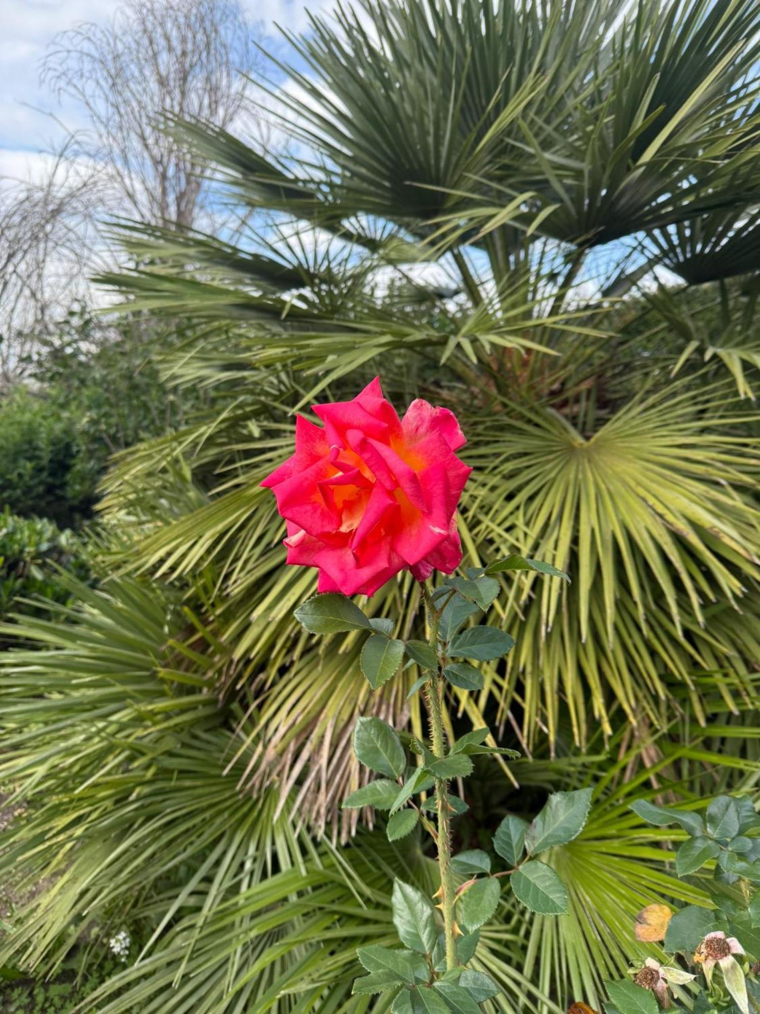 B&B Armonia Enna Dış mekan fotoğraf